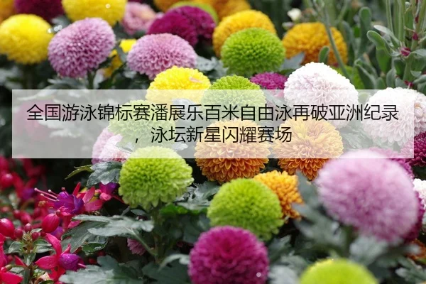 全国游泳锦标赛潘展乐百米自由泳再破亚洲纪录，泳坛新星闪耀赛场